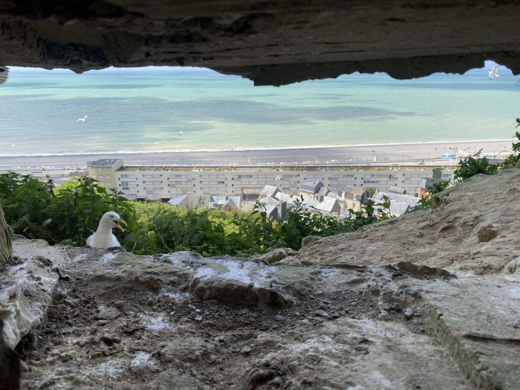 Vue depuis le Kahl-Burg - Le Tréport